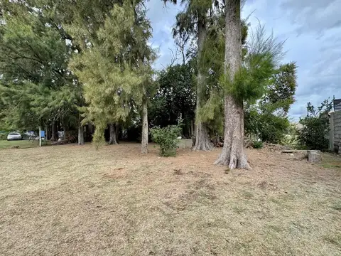 Terreno en Venta 41  mts Fondo