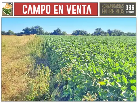 Campo en Venta Mixto