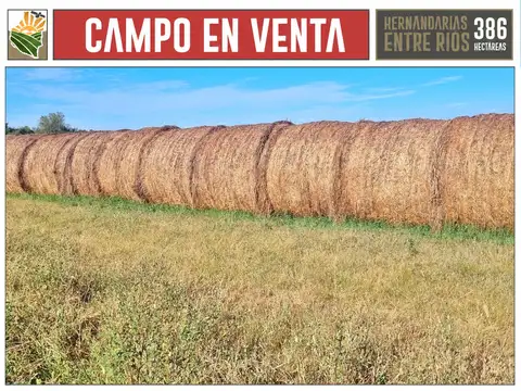 Hernandarias