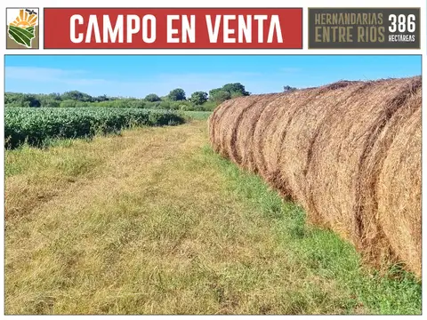 Campo en Venta de 386  ha