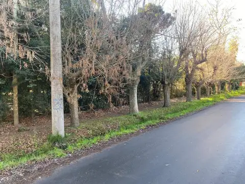 Terreno en Venta 50  mts Fondo
