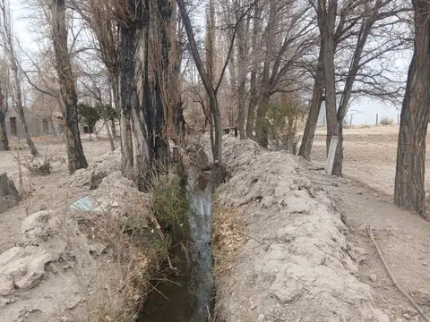 Terreno en Venta de 1000,0 m2