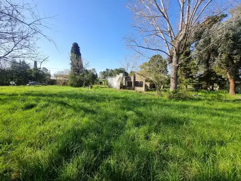 parque Exaltación 400