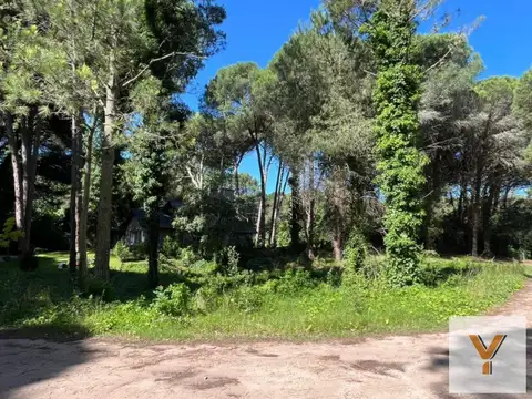 Terreno en venta - 924Mts2 - Cariló