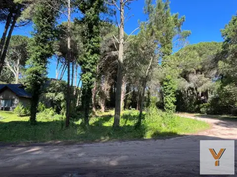 Caoba y Urraca