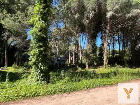 Terreno en venta - 924Mts2 - Cariló