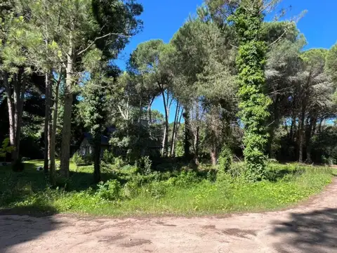 Terreno en venta - 924Mts2 - Cariló