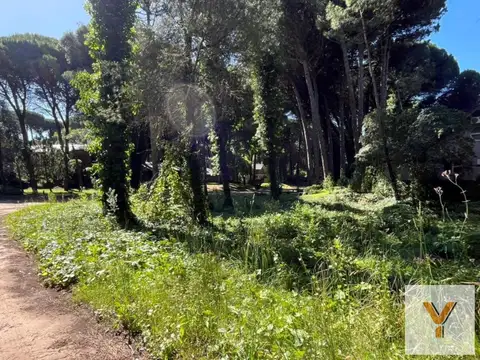 Terreno en Venta en Carilo, USD 115.000