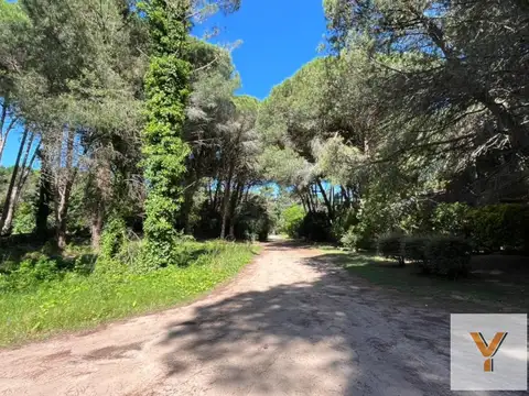 Terreno en Venta 44  mts Fondo