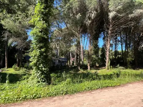 Terreno en venta - 924Mts2 - Cariló