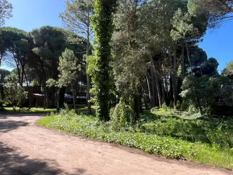 Terreno en Venta 17  mts Frente