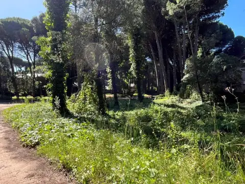 Terreno en Venta en Carilo, USD 115.000