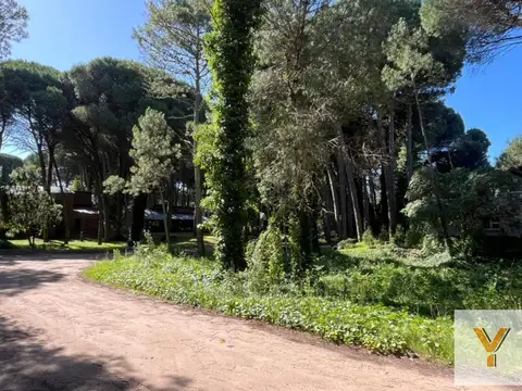 Terreno en Venta 17  mts Frente