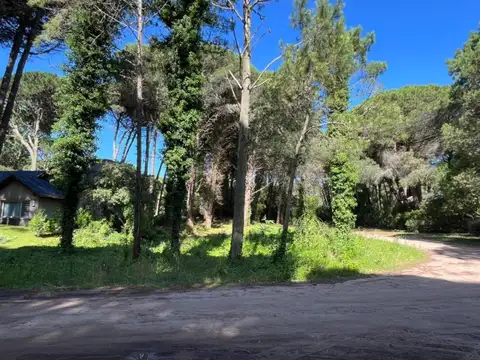 Caoba y Urraca