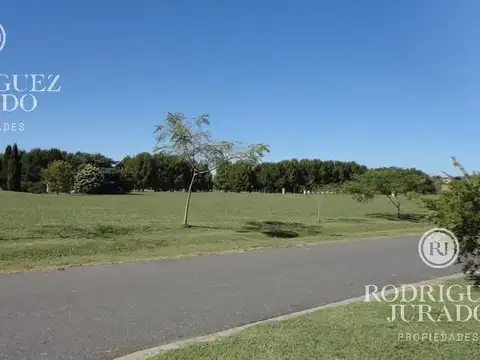Haras San Pablo 200