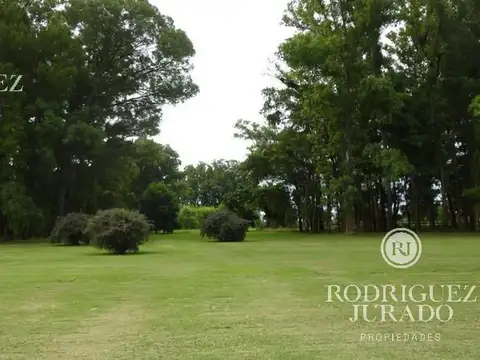 Haras San Pablo 200