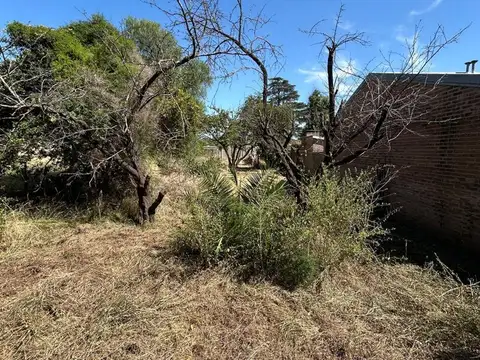 Leóncio de la Barrera 400