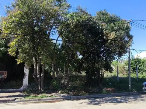 Intendente Guillermon 100