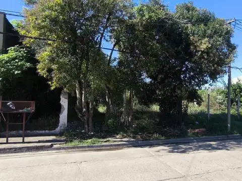 TERRENO CENTRO DE GRAL.RODRIGUEZ CALLE GUILLERMON