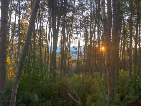 Lote Apto 2 uf con Vista al Lago