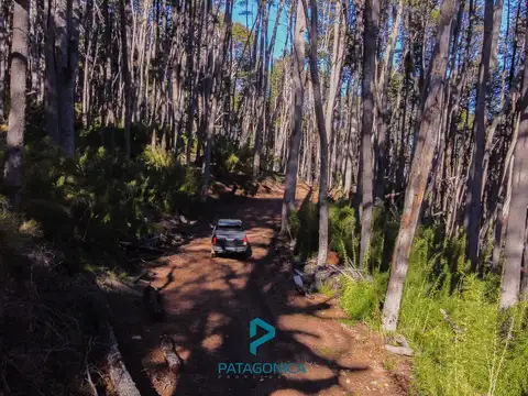 Lote Apto 2 uf con Vista al Lago