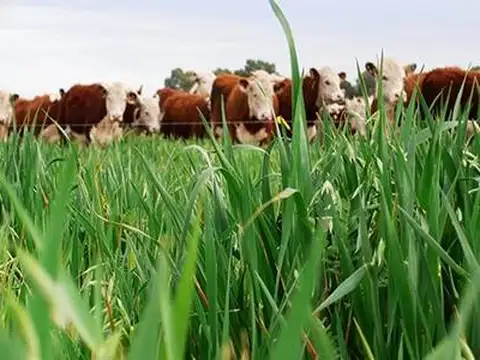 Campo en Venta con Alambrado