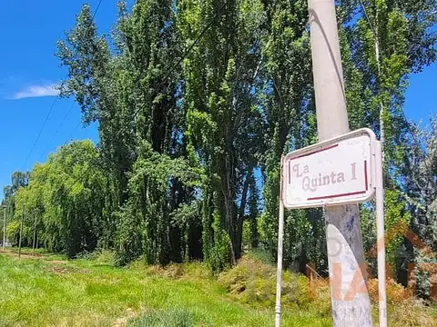 calle interna N° 6