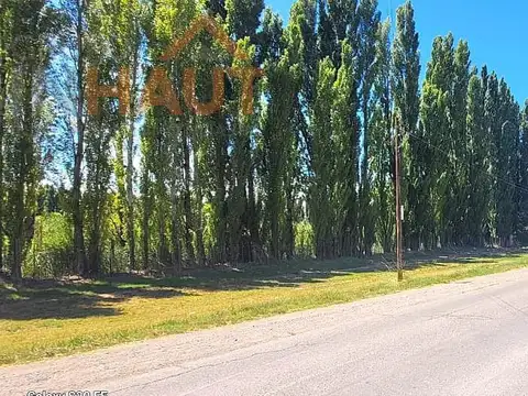 Terreno en Venta 10  mts Frente
