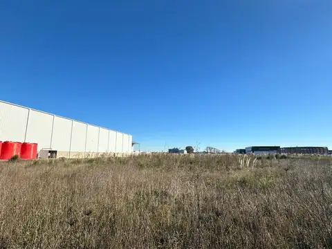 Puente del Inca al 2400