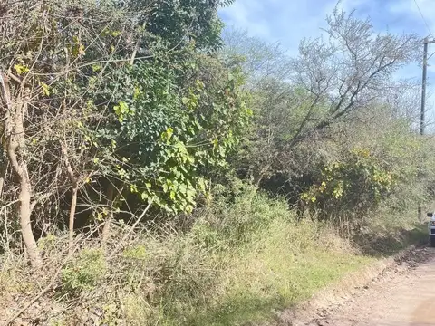 Pública s/n