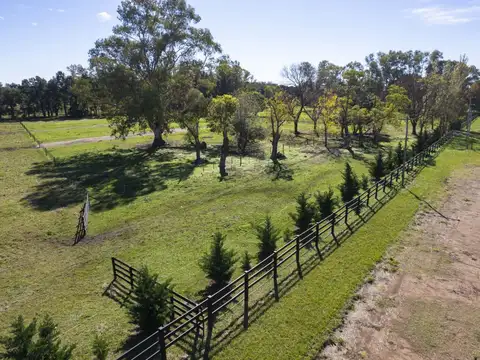 Ruta 41 200