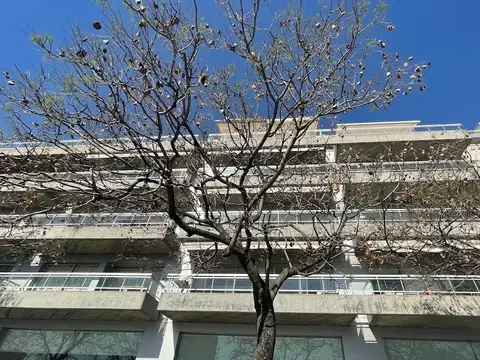 Olga Cossenttini al 1600