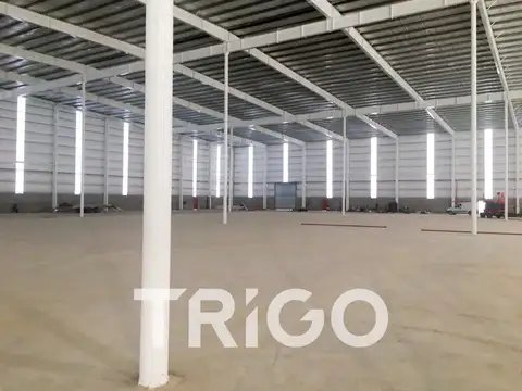 Polo Industrial Ezeiza, Colectora Autopista Ezeiza Cañuelas, Spegazzini