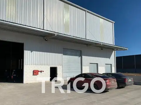Galpon en Alquiler 120  mts Fondo
