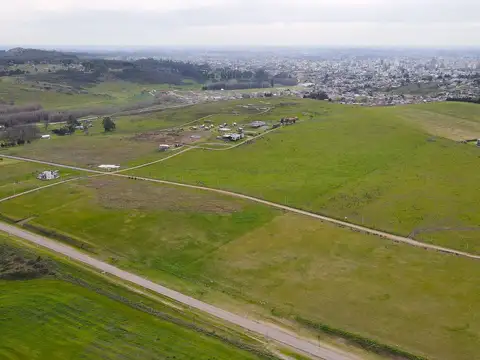 Terreno en Venta de 17164,0 m2