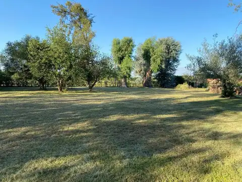 Posibilidad de adquirir por separado ya que son 3 lotes