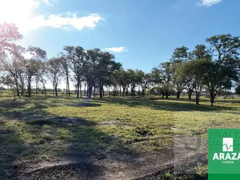 Arazá Fontana - Terreno 200 m2