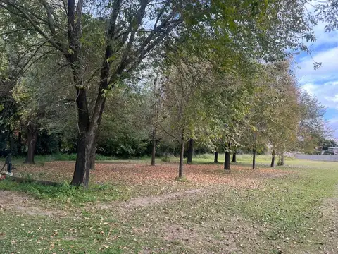 LOTE DE 373m2 EN VENTA EN SAUCE VIEJO