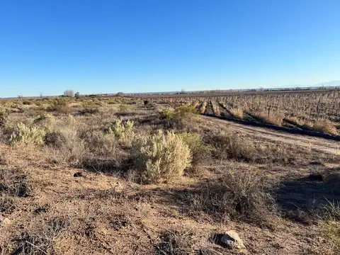 CALLEJON DE ACCESO S/N CON SALIDA  A CALLE COLOMBO