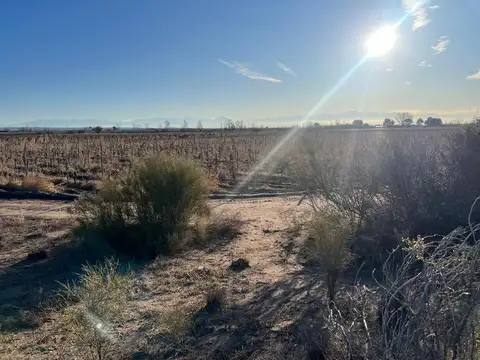 Terreno en Venta de 45000,0 m2