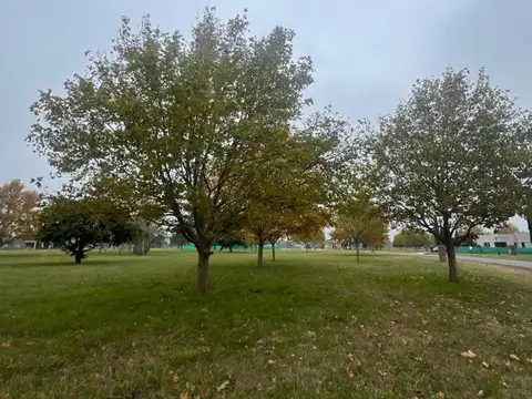 Mirabosques Cardales