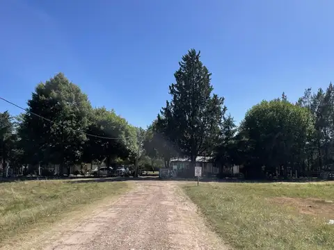 4 Has con 2 Casas sobre Ruta 135 Colón 