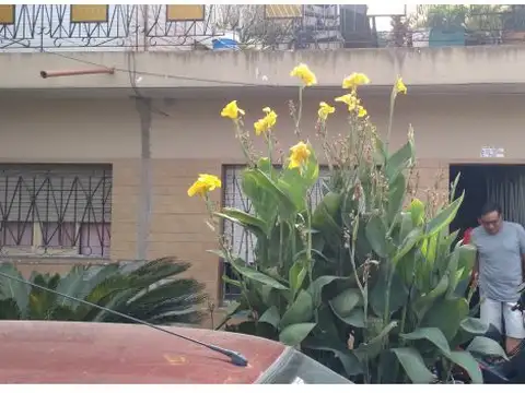 Depto Tipo Casa en Venta de 4 ambientes