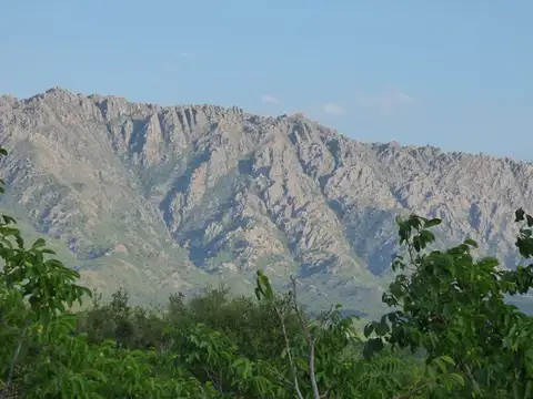 Campo en Venta con Alambrado