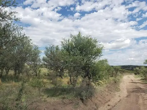 Terreno en Venta de 1000,0 m2