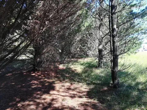 Terreno en Venta 25  mts Fondo