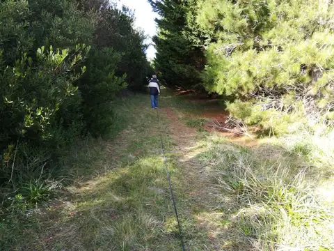 Terreno en Venta, FOT 375