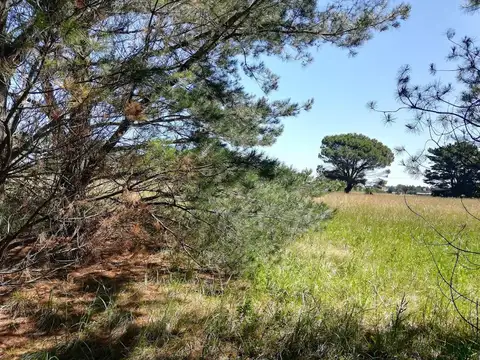 Terreno en Venta de 375,0 m2