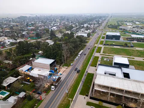 Arturo Illia al 600