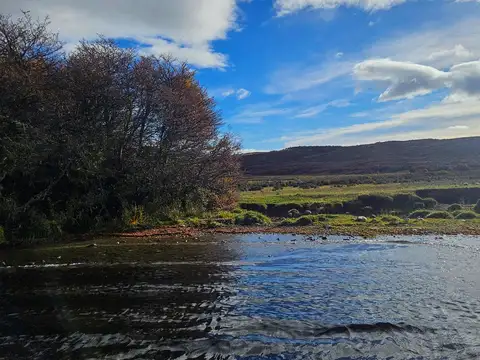 Campo en Rio Pico
